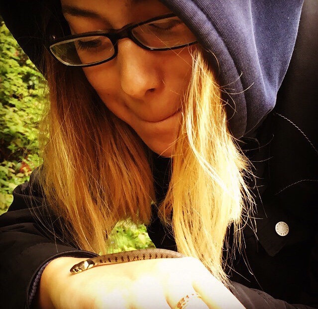 Volunteer with grass snake