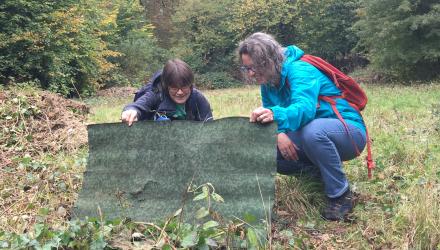 Checking reptile mats